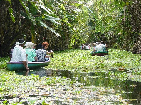 Canoeing in Costa Rica at the Sloth Preserve